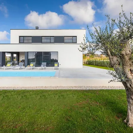 Amazing Private Villa With Outdoor Swimming Pool In Vodnjan Exterior photo